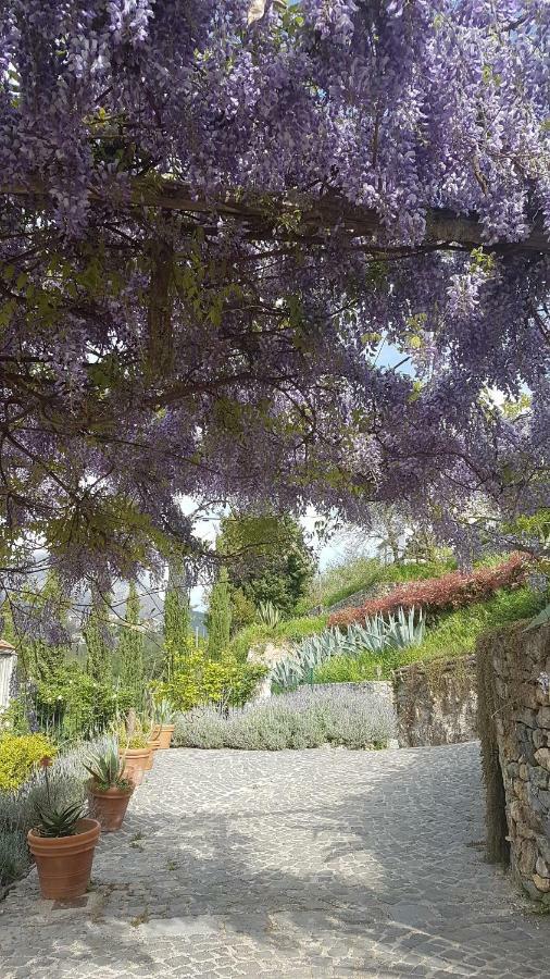 Ancient Estate "Il Trignano" Villa Vietri Luaran gambar