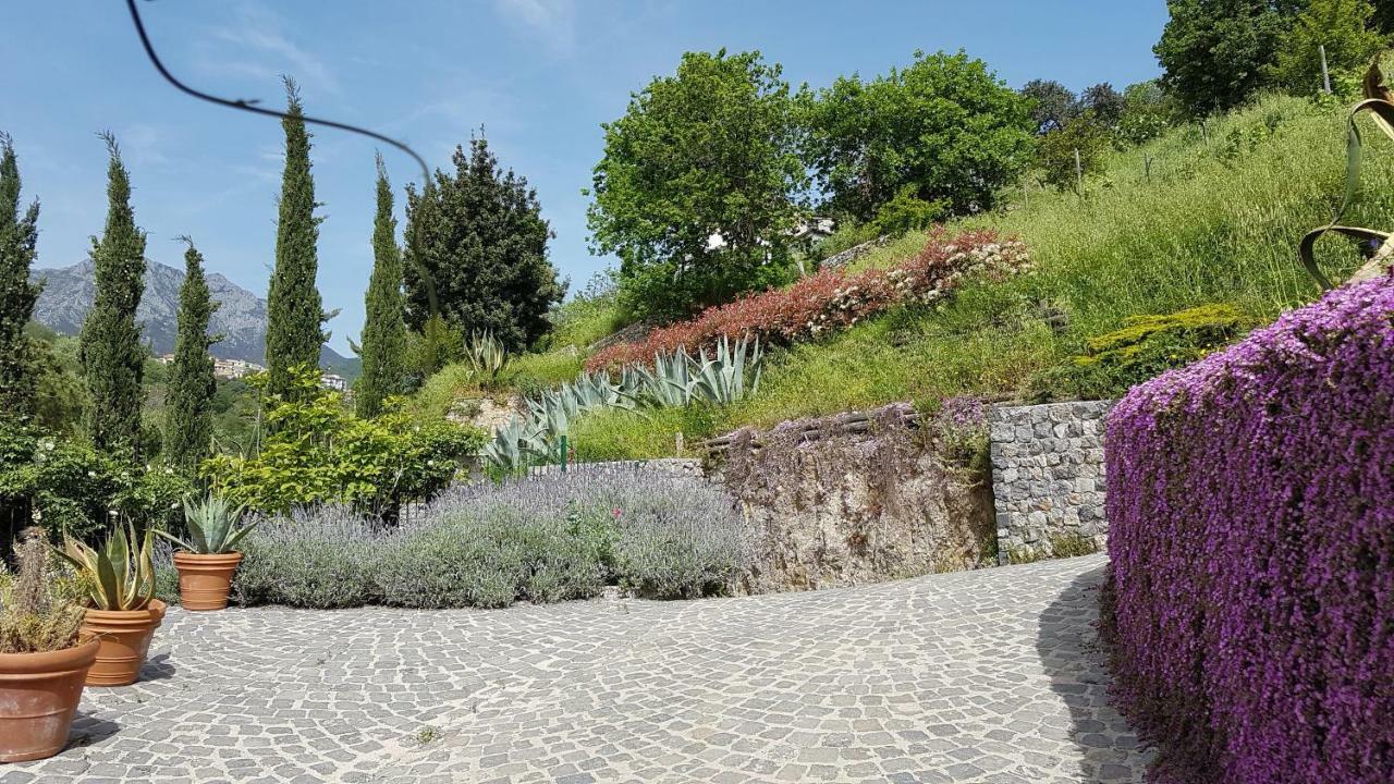 Ancient Estate "Il Trignano" Villa Vietri Luaran gambar