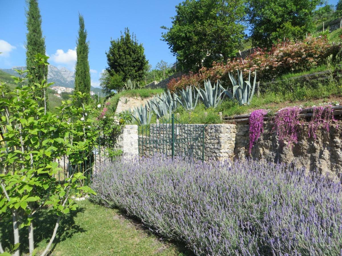 Ancient Estate "Il Trignano" Villa Vietri Luaran gambar