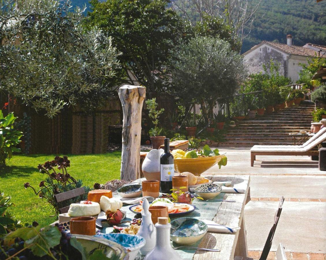 Ancient Estate "Il Trignano" Villa Vietri Luaran gambar